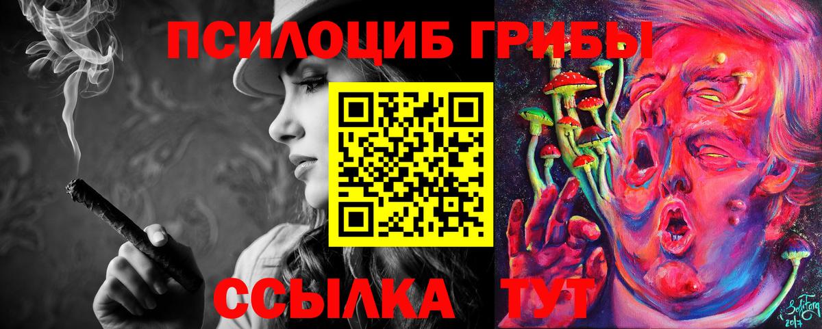 Ессентуки  Псилоцибиновые грибы Psilocybine cubensis  Вход с VPN 