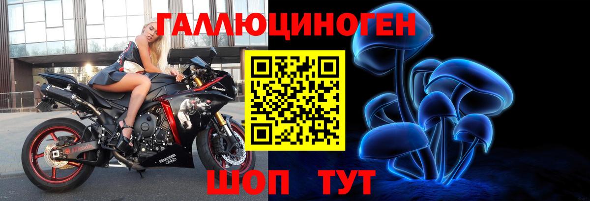 Галлюциногенные грибы Magic Shrooms Ессентуки